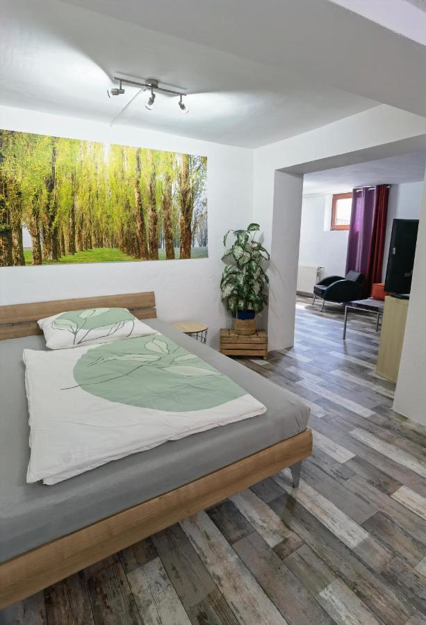 Ferienwohnung - Appartement "Painted Horse" Im Herzen Des Pfaelzer Waldes Reichenbach-Steegen ภายนอก รูปภาพ