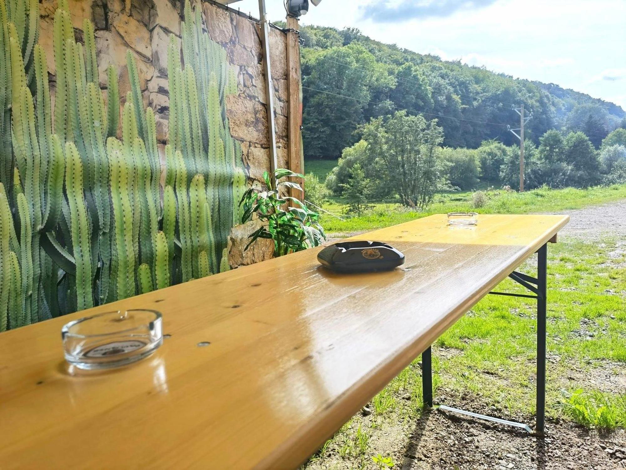 Ferienwohnung - Appartement "Painted Horse" Im Herzen Des Pfaelzer Waldes Reichenbach-Steegen ภายนอก รูปภาพ